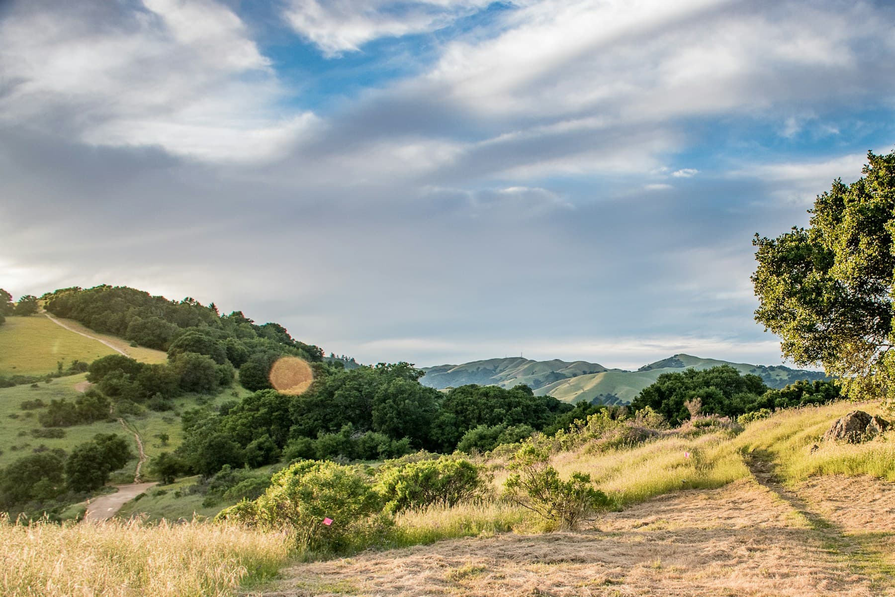 Rolling hills and open sky in San Rafael, Marin County