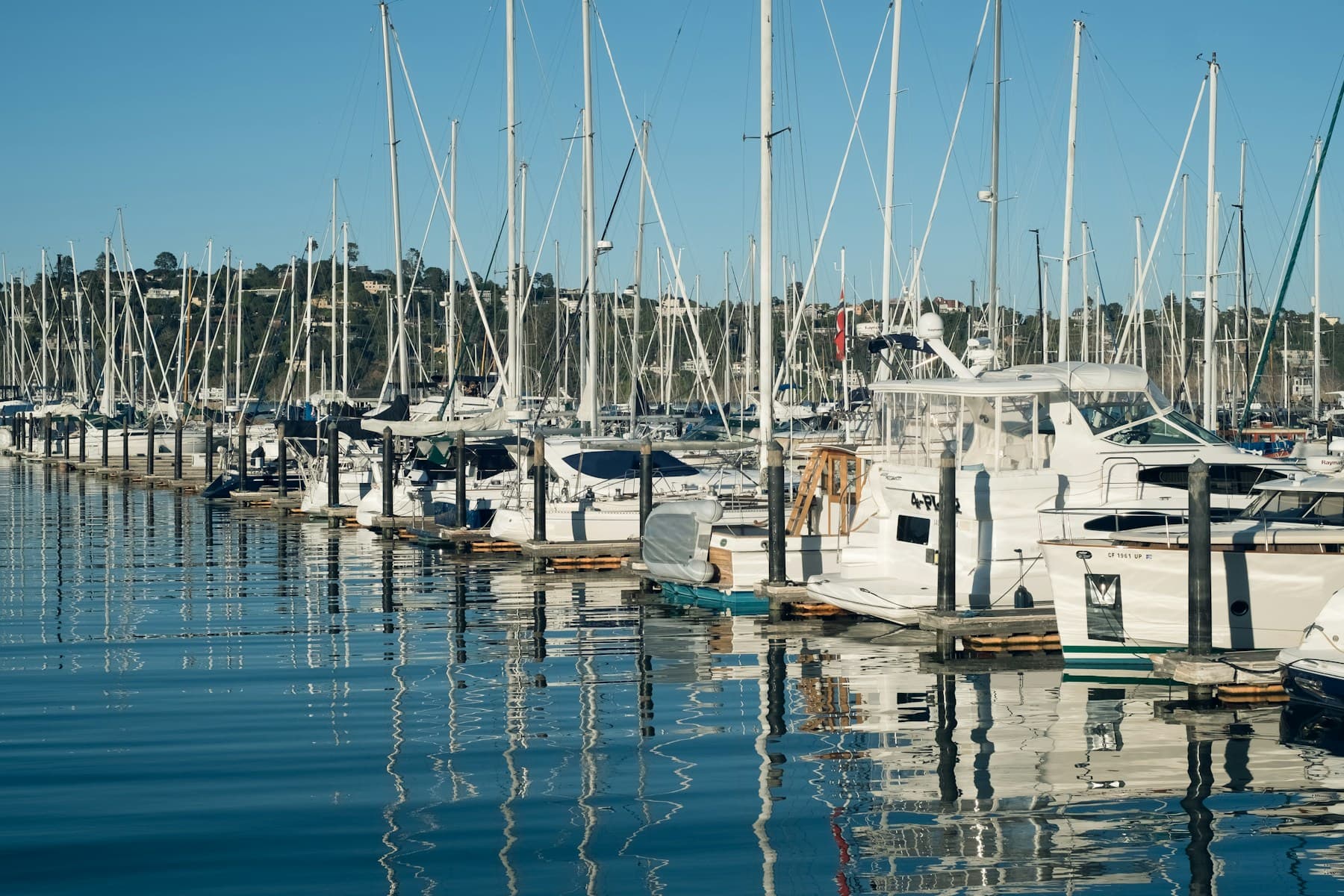 Boats docked at Sausalito Yacht Harbor on San Francisco Bay
